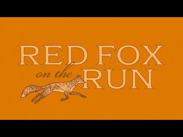 Patti Callahan Henry on Red Fox on the Run with Christiana Roussel