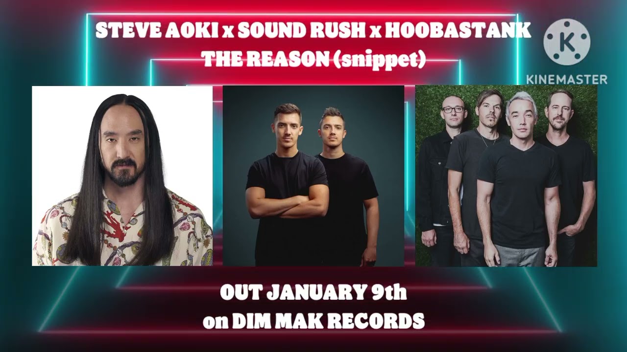 Steve Aoki x Sound Rush x Hoobastank - The Reason (snippet) | OUT JANUARY 9th