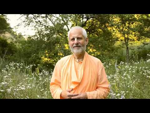 (8) სიყვარული კრიშნასადმი