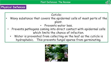 OCR Gateway A B6.3.6 - Plant Defences