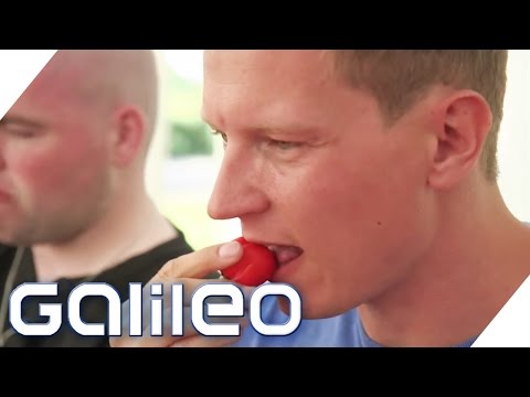 Video: Wie man einen Burrito macht (mit Bildern)