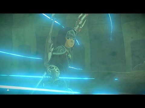 Video: Zelda Illusory Realm šefovi: Kako Pobijediti Waterblight Ganon, Windanlight Ganon, Fireblight Ganon, Thunderblight Ganon