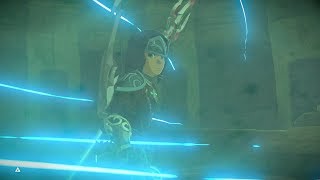 Zelda Botw Illusory Waterblight Ganon No Damage