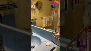 Carnival Horizon Balcony Stateroom 8254