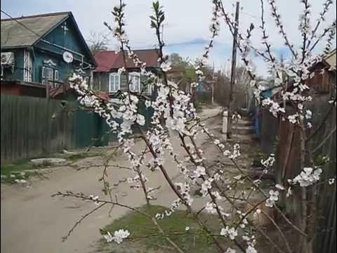 Футаж деревня. Красивый фон для видеомонтажа. Футажи село. Красивые заставки для видеомонтажа. Футажи село.