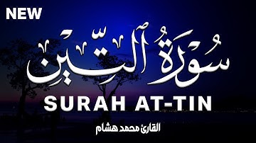 سورة  التين كاملة | القارئ محمد هشام Surah At-Tin