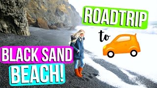 ROADTRIP TO A BLACK SAND BEACH IN ICELAND!