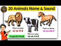 20 animals name  sound  english  hindi  simple sentences  watrstar