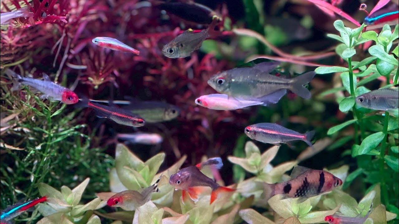 อัพเดทสต็อคปลา 19 กุมภาพันธ์ 2569