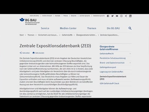 ZED: Eingabehilfe der BG BAU