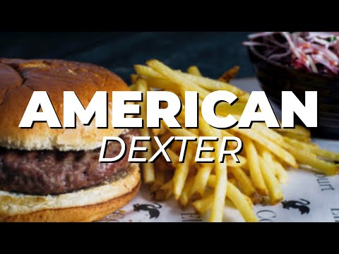 Most AUTHENTIC AMERICAN RESTAURANTS in Dexter Michigan