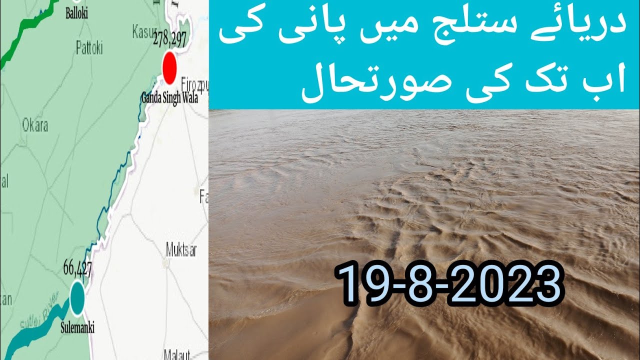 Today flood situation of river satluj !!Daraye satluj ki aaj ki khabar