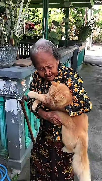 Download lagu tuman minggatan yanto i🤣 #simboktukinil #cat #harusberanda #kucing #lucu #ngakak
