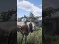 RDR 2 | All right then