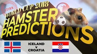 World Cup 2018 Hamster Predictions: Iceland v Croatia
Which will our furry friend pick?
Check out our hamster Neymar-mites match predictions: https://www.youtube.com/playlist?list=PLLLY-U1gosE92sLMEahOBEDZ_O_ajd5Qx
Subscribe to Stirr on YouTube ► http://str.sg/StirrYouTube
Follow Stirr on:
Facebook ► http://facebook.com/stirrsg/
Instagram ► http://instagram.com/instirrgram
YouTube ► http://str.sg/StirrYouTube
Website ► http://stirr.sg World Cup 2018 Hamster Predictions: Iceland v Croatia