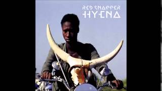 Red  Snapper - Archout