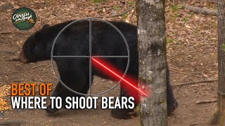 Where to Shoot a Bear | BEST OF HUNTING Compilation screenshot 3