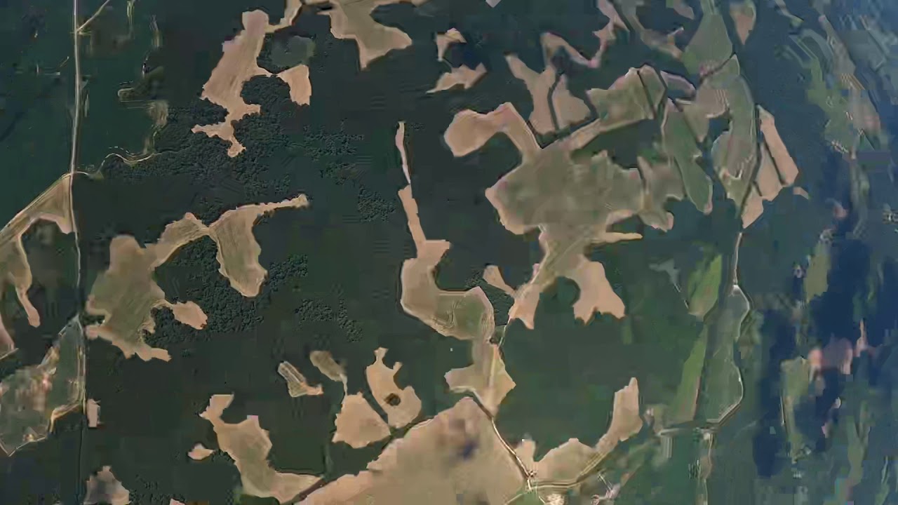 Slammer on the Comp Velo