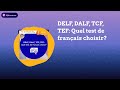 My polyglot life  en francais  delf dalf tcf tef quel test de franais choisir