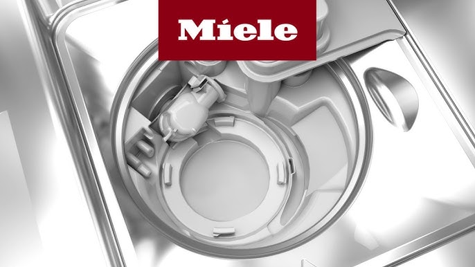 Miele Geschirrspuler Ruckschlagventil Ausbauen