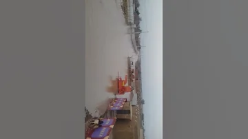 حلفا الجديد 