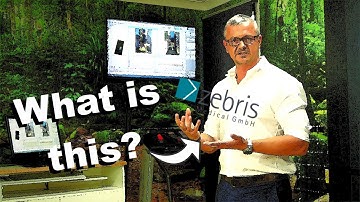 What is The Zebris Gait Analysis?