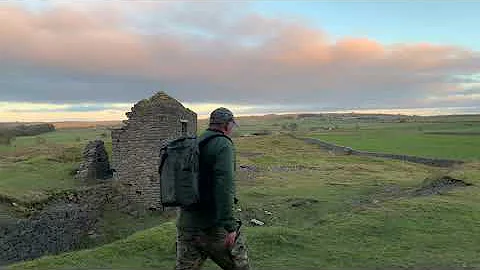 Vanguard VEO Active 46