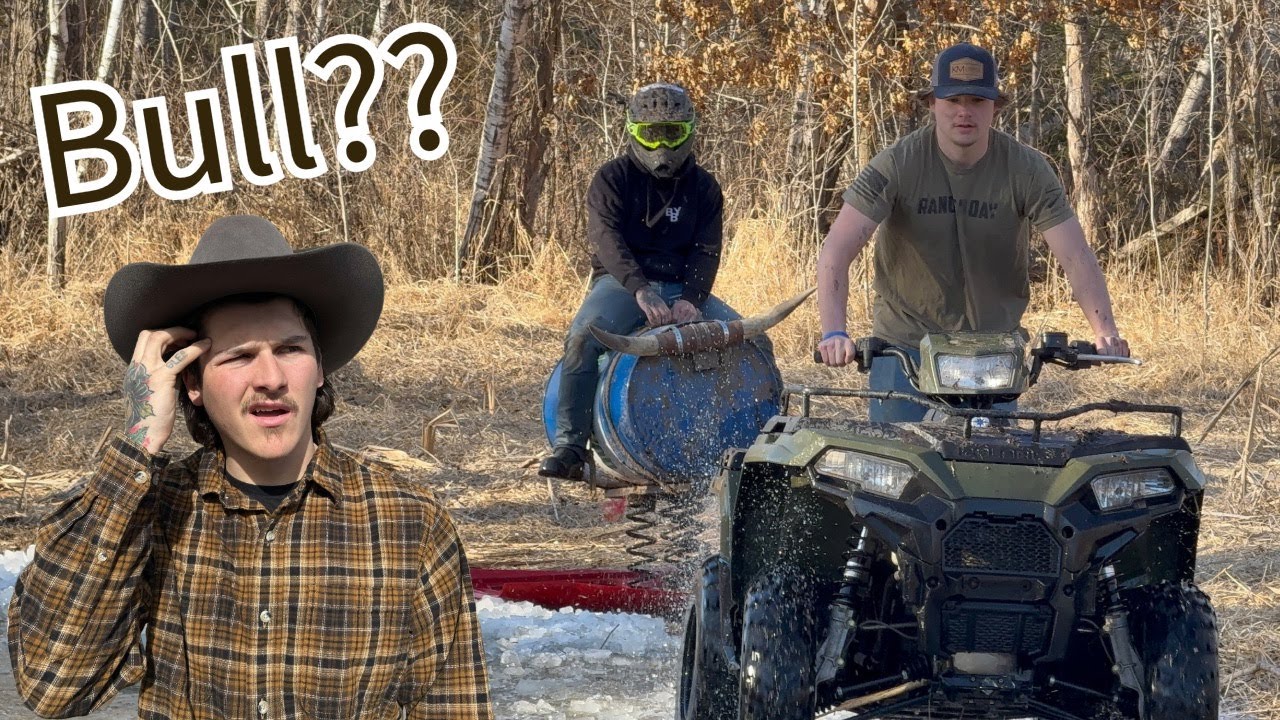 Redneck bull riding??