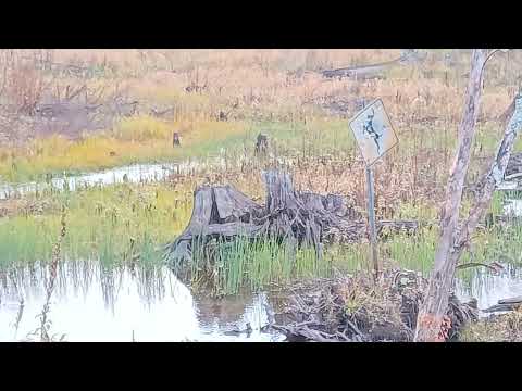 Crownland camping Northern Ontario during hunting season