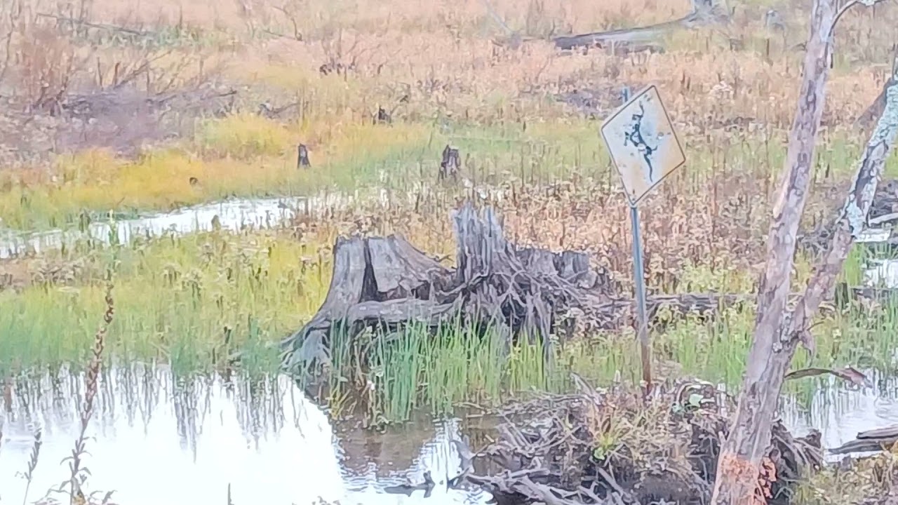 Crownland camping Northern Ontario during hunting season