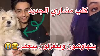 بث مشاري بن عبدالعزيز| مع دنو وراها كلبه الجديد+ ضحكها وهي متضايقه ويتغزلون ببعض😂🔥