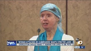 Woman Attacked by Chimpanzee Wants Stricter Laws