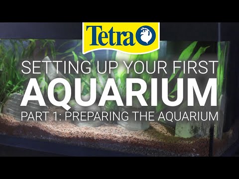 Video: Noriu Akvariumo. 1 Dalis