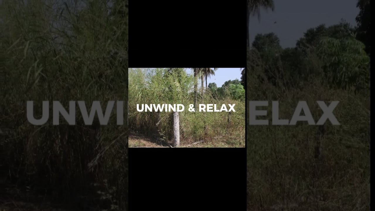 Lush Orchard Retreat A Hidden Gem 