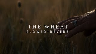 Gladiator - The Wheat (Slowed + Reverb)