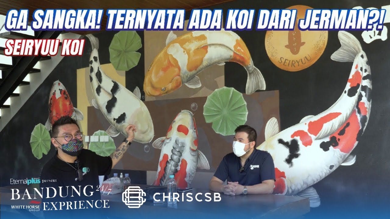 Mengetahui Keunikan Koi Doitsu Tanpa Sisik Khas Jerman Mengetahui Keunikan Koi Doitsu Tanpa Sisik Khas Jerman