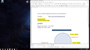How to Use Restriction Mapper - BIO312 Lab