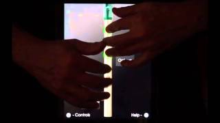 Tin Whistle Pro - Traditional Irish Whistle for the iPad in Multiple Keys + Effects screenshot 2