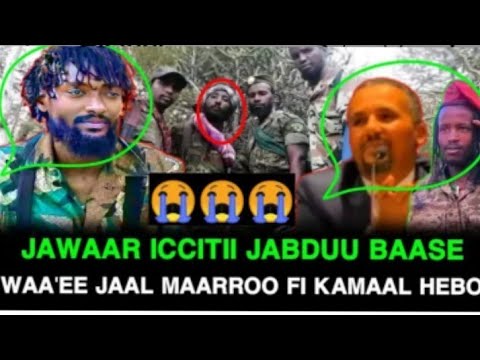 Oromo Jawaar Dhuga Jiru Ummataaf Hime Waa Ee Jaal Marroo Fi Shira Jiruu Lafaa Kaahe Dhuga Jiru Kun