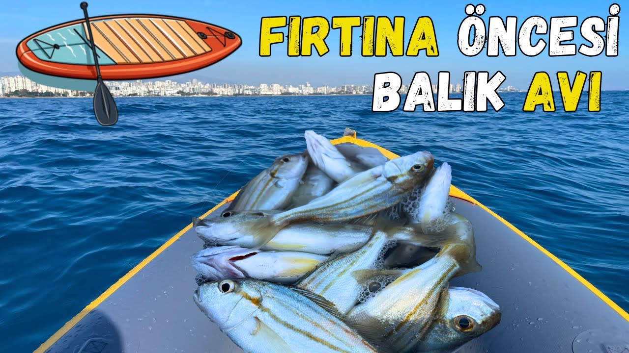 Рыбалка с лодки | Мы использовали кур в качестве приманки | #рыбалка #документальныйфильм