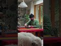 Ambient music from a stone cabin in the Pacific Northwest