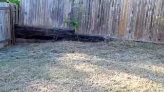 9701 Spruce Ridge (10142015)