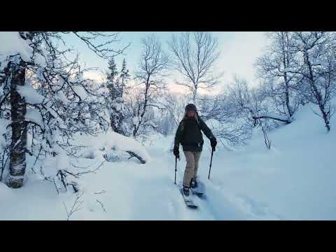 Porte-ski/snowboard Thule « SnowPack 7326 » pour Opel