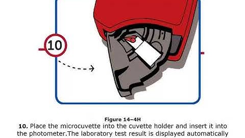 CC - Phlebotomy Handbook Chapter 14 part 2