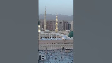 💚 ان ابراهيم كان امة 💙 سورة النحل للشيخ علاء المزجاجي 💥👍