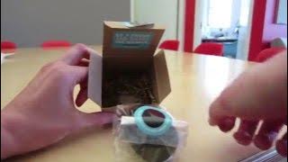 Download lagu Checking out the Oreo Wonder Vault