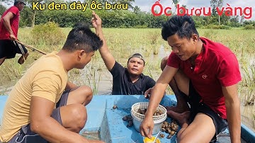 Long mập vlogs/ốc bươu vàng hấp nước dừa/cả team gặp lại Tuấn cùi sau bao ngày ko gặp