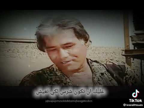 استوري مهيدي ابن زمزم عليك أن تكون شرس لكي تعيش حلات وتساب