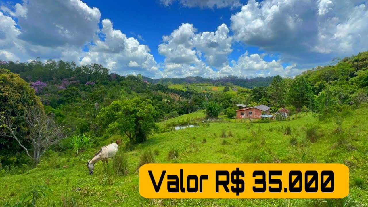 [ SÍTIO A VENDA ] 35 MIL REAIS - PRONTO PARA MORAR - LINDA MINA DE ÁGUA CLARA E VERTENTE COM  PEIXES
