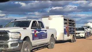 30 animals seized after animal cruelty investigation